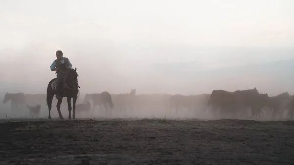 Chevaux courir et botter la poussière. Yilki chevaux en Kayseri Turquie sont des chevaux sauvages sans propriétaires — Photo