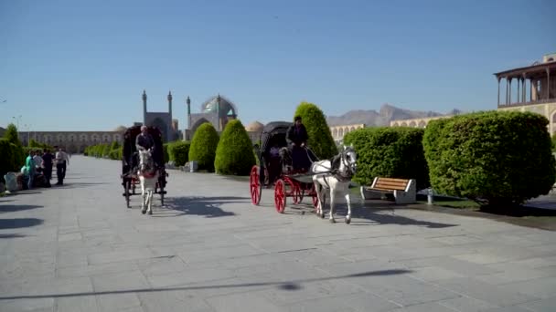 Isfahan Iran May 2019 Tourists Having Horse Carriage Ride Isfahan — Stock Video