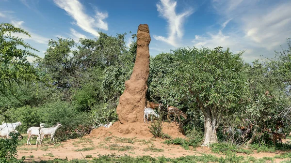 Enorme montículo de hormigueros de termitas en África, Etiopía del Sur, Valle de Omo — Foto de Stock