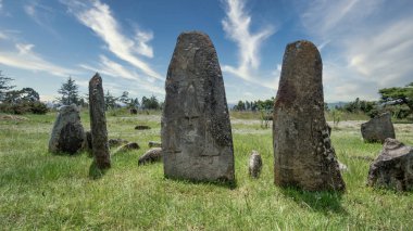Megalitik Tiya taş sütunlar, Unesco Dünya Mirası alanı yakınında, Etiyopya.