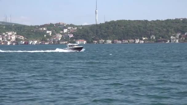 Istanbul Turki Oktober 2018 Kapal Kecepatan Pribadi Berlayar Sepanjang Selat — Stok Video