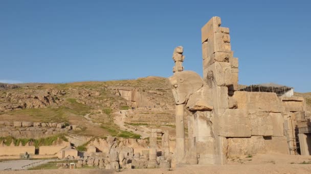 イランのペルサポリス 2019年5月 シラーズのペルサポリスの歴史的な都市の遺跡 — ストック動画