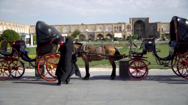 Isfahan Iran Mai 2019 Pferdekutschen Warten Auf Touristen Und Iranische — Stockvideo