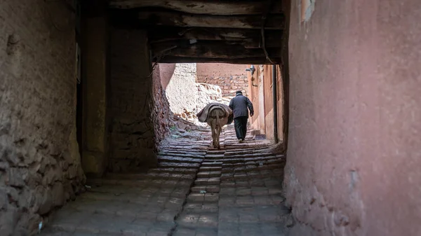 Неопознанный старик и его осел прогуливаются в традиционной деревне Абьянех, Иран — стоковое фото