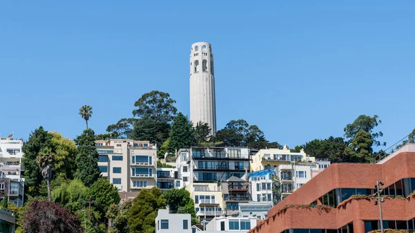 Coit Tower San Francisco California in un giorno di cielo blu USA — Foto Stock