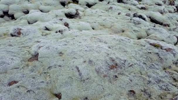 Moosbewachsene Lavafelder Auch Als Grüne Lava Skaftareldahraun Island Bekannt — Stockvideo