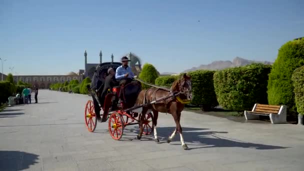 Isfahán Irán Mayo 2019 Los Turistas Que Viajan Carruaje Caballos — Vídeo de stock