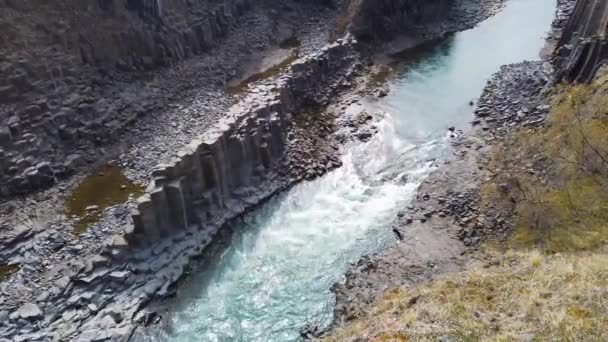 Studlagil Basalt Canyon Islandia Esta Una Rara Formación Columna Basalto — Vídeo de stock