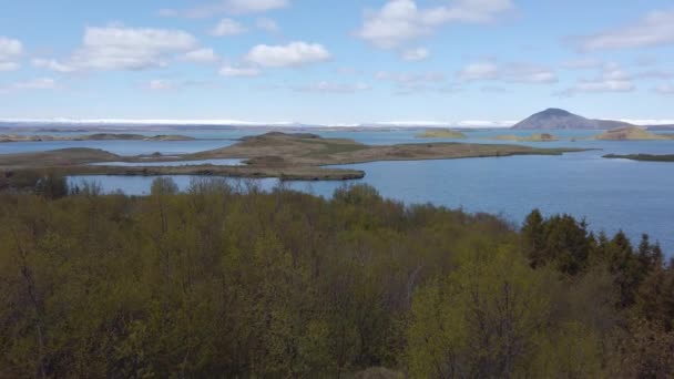 Myvatn Λίμνη Τοπίο Καλοκαίρι Βόρεια Ισλανδία — Αρχείο Βίντεο