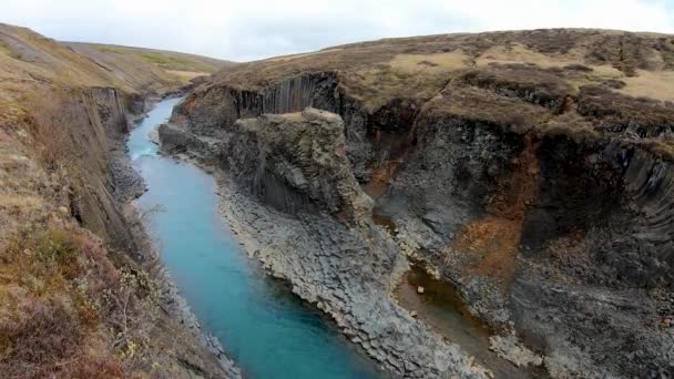 Studlagil Basalt Φαράγγι Ισλανδία Αυτός Είναι Ένας Σπάνιος Σχηματισμός Ηφαιστειακής — Αρχείο Βίντεο