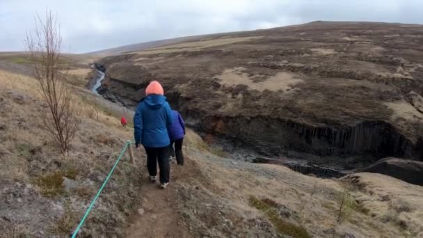 Studlagil Islandia Maj 2019 Kanion Bazaltowy Studlagil Odwiedzający Turystów Jest — Wideo stockowe