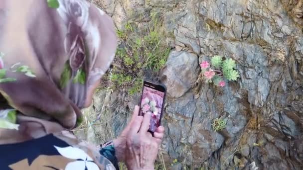 Stambuł Turcja Październik 2019 Stara Starsza Muzułmanka Robiąca Zdjęcia Kwiatów — Wideo stockowe