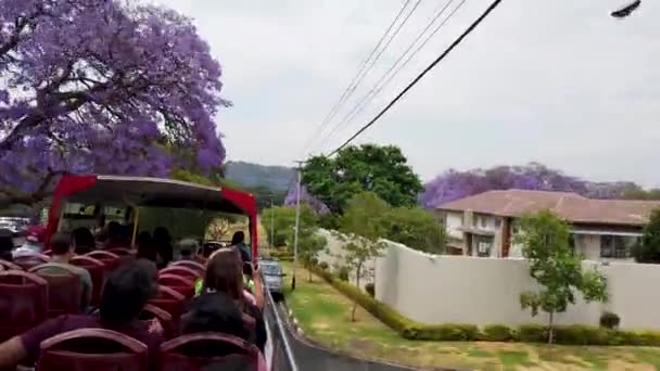 Johannesburg Südafrika Oktober 2019 Hop Hop Touristenbus Unterwegs Einer Straße — Stockvideo