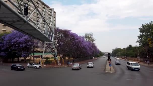 Johannesburg South Africa October 2019 Johannesburg City Street Cars Cityscape — стокове відео