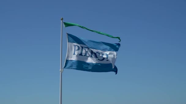 San Francisco California Usa August 2019 Pier Flag Fisherman Wharf — стокове відео