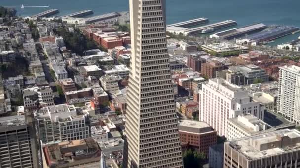 サンフランシスコ カリフォルニア州 アメリカ 2019年8月 トランスアメリカのピラミッドがあるサンフランシスコの街並み — ストック動画