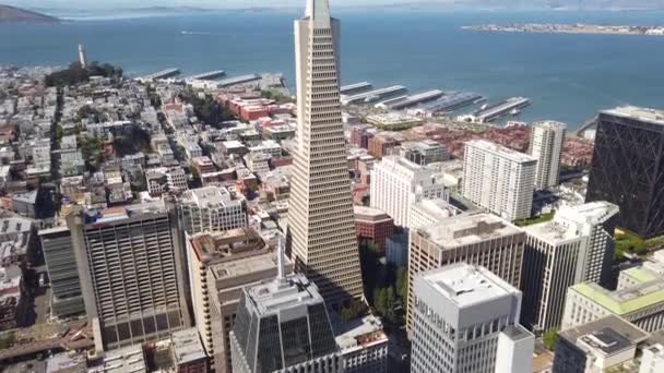 San Francisco California Usa 2019 Augusztus San Francisco Cityscape Transamerica — Stock videók