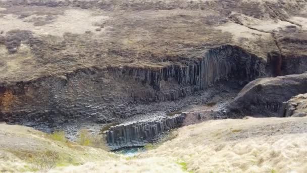 Kanion Studlagil Bazalt Islandia Jest Rzadki Wulkaniczny Bazaltowej Formacji Kolumny — Wideo stockowe