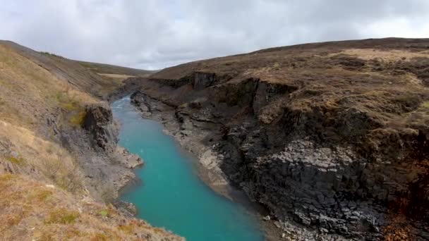 Studlagil Basalt Canyon Iceland Рідкісне Вулканічне Утворення Базальтової Колони — стокове відео