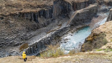 Studlagil bazalt kanyonuna bakan bir turist. Bu İzlanda 'da nadir görülen bir volkanik bazalt kolon oluşumu.