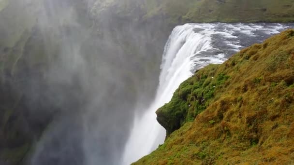 Grote Waterval Van Skogafoss Skogar Het Zuiden Van Ijsland — Stockvideo