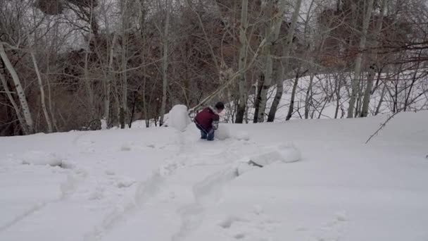 Hizan Bitlis Turquía Febrero 2020 Niños Jugando Con Nieve Pueblo — Vídeos de Stock