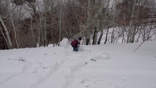 Hizan Bitlis Turquie Février 2020 Enfants Jouant Avec Neige Dans — Video