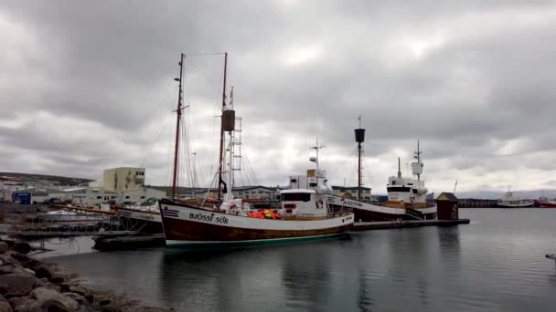 Husavik Islandia Czerwiec 2019 Tradycyjne Drewniane Łodzie Rybackie Służące Obserwacji — Wideo stockowe