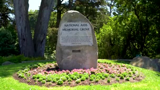 San Francisco Califórnia Eua Agosto 2019 National Aids Memorial Grove — Vídeo de Stock