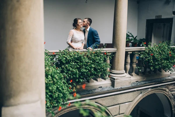 Hermosa pareja amorosa —  Fotos de Stock