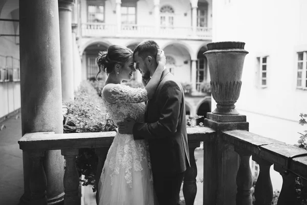 Hermosa pareja amorosa — Foto de Stock