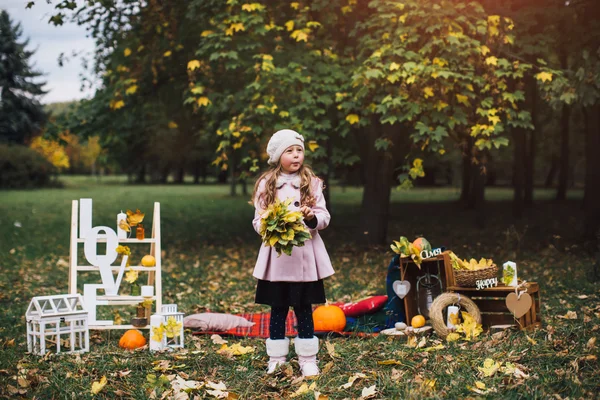 Девушка играет с опавшими листьями — стоковое фото
