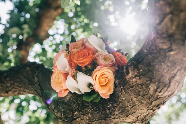 Hermoso ramo de novia —  Fotos de Stock