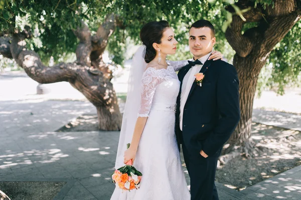 Любляча пара в день весілля — стокове фото