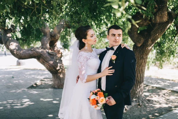 Düğün günü sevgi dolu Çift — Stok fotoğraf