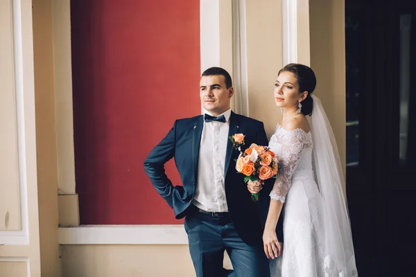 Pareja amorosa en el día de la boda — Foto de Stock