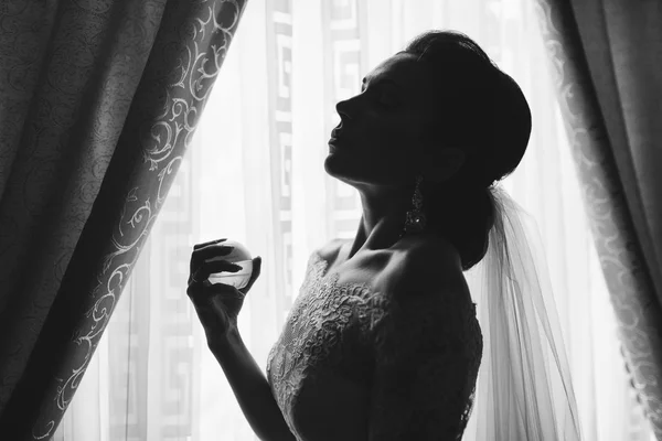 Sposa il giorno del matrimonio — Foto Stock