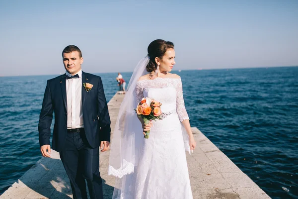 Pareja amorosa en el día de la boda —  Fotos de Stock