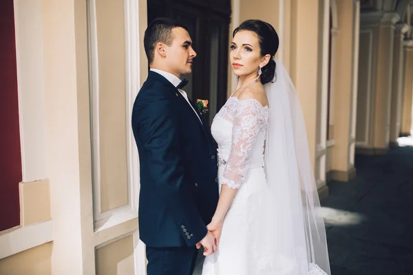 Pareja amorosa en el día de la boda — Foto de Stock