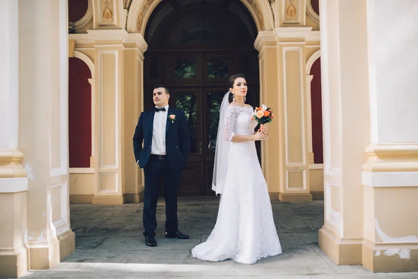 Pareja amorosa en el día de la boda — Foto de Stock