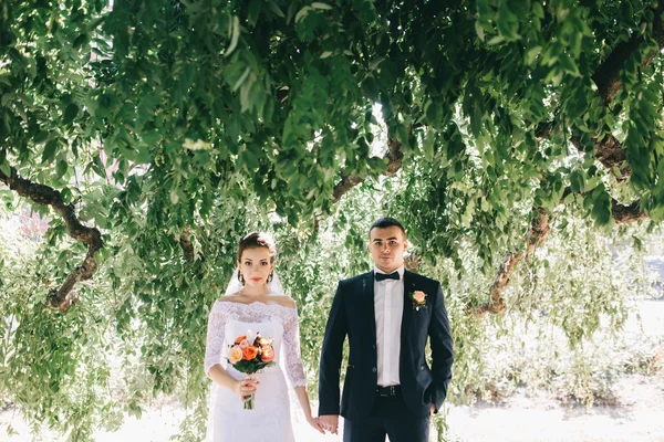 Pareja amorosa en el día de la boda —  Fotos de Stock