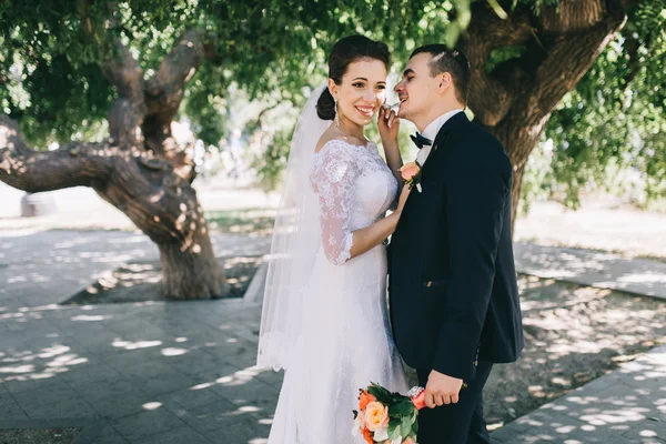 Casal amoroso no dia do casamento — Fotografia de Stock