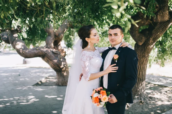 Pareja amorosa en el día de la boda — Foto de Stock