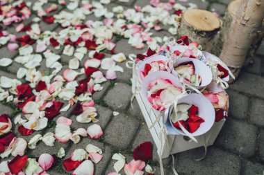 güzel çiçek yaprakları