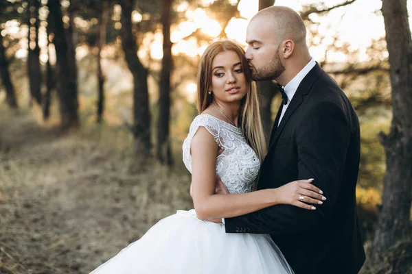 Hermosa pareja amorosa —  Fotos de Stock