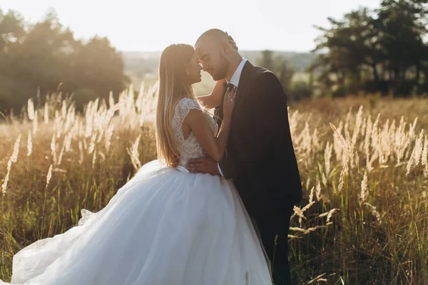 Hermosa pareja amorosa —  Fotos de Stock