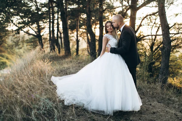 Hermosa pareja amorosa —  Fotos de Stock