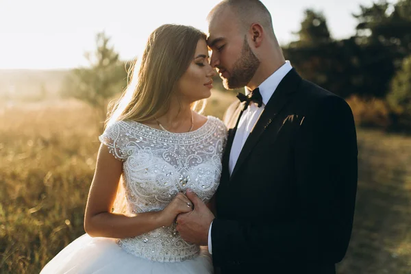 Hermosa pareja amorosa — Foto de Stock