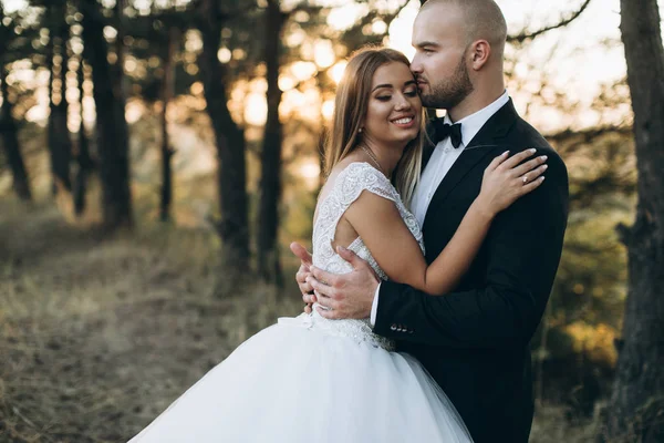 Hermosa pareja amorosa —  Fotos de Stock