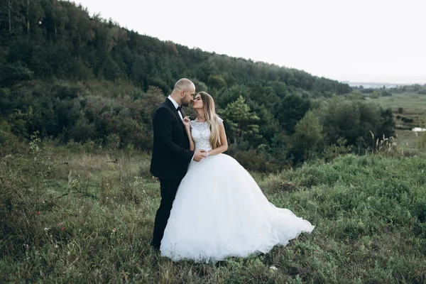 Hermosa pareja amorosa —  Fotos de Stock